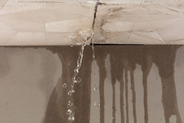 Professional Water Damage Repair technician working in Lynx, OH